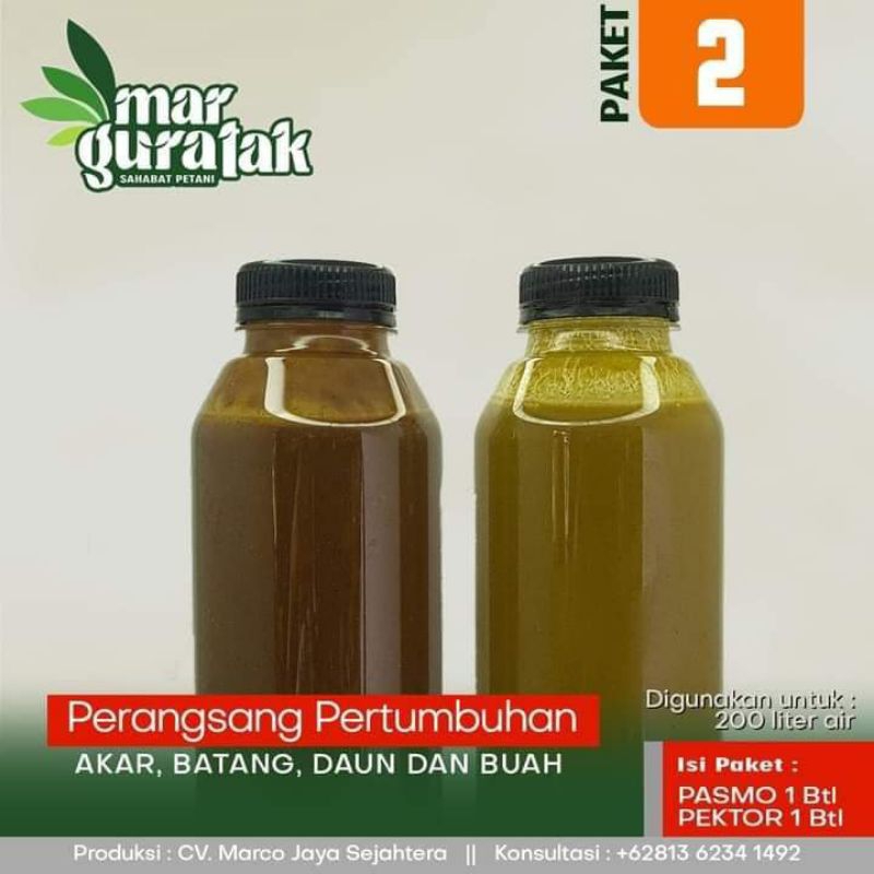 pasmo dan pektor( paket untuk tanaman)
