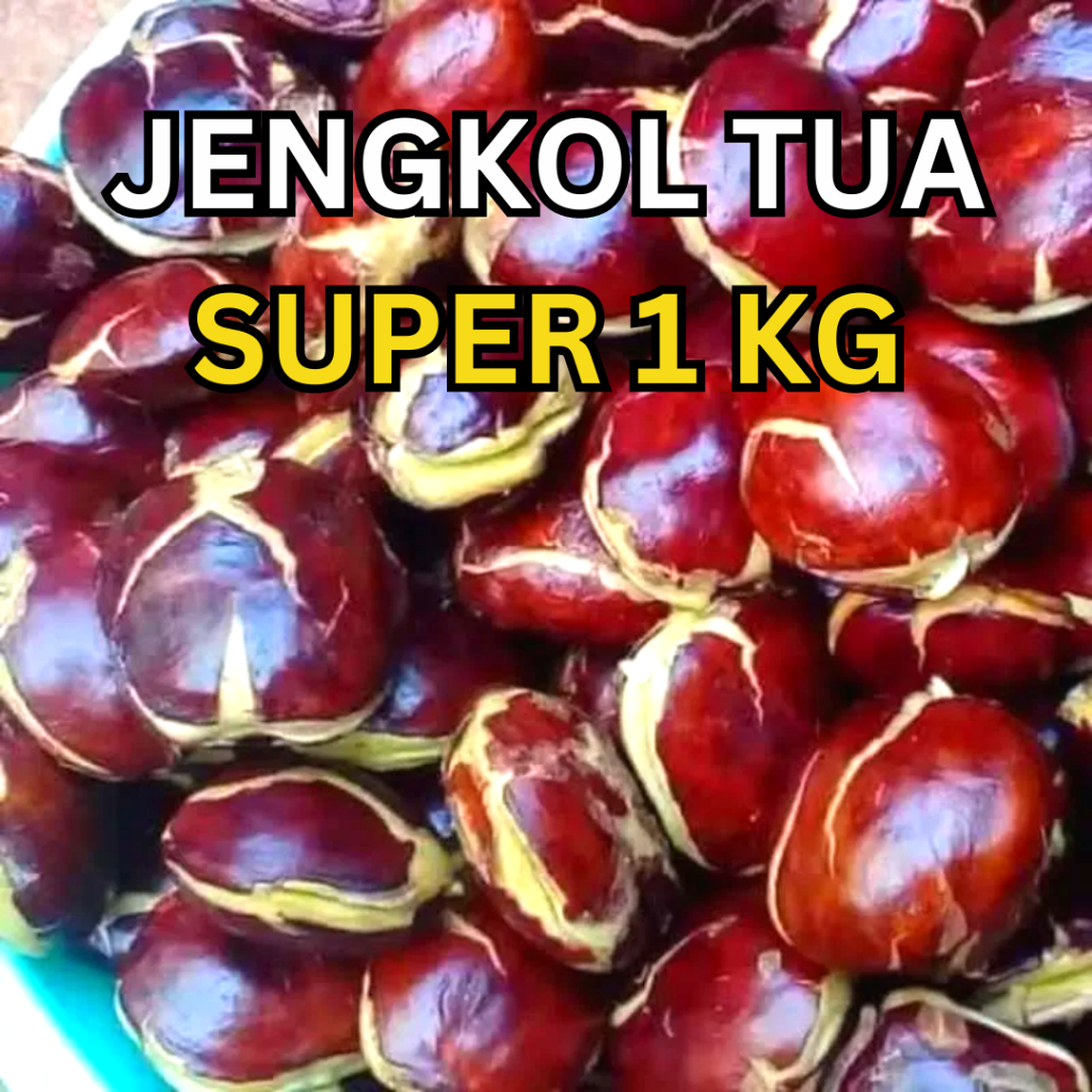 

Jengkol Tua Mentah 1 Kg Super