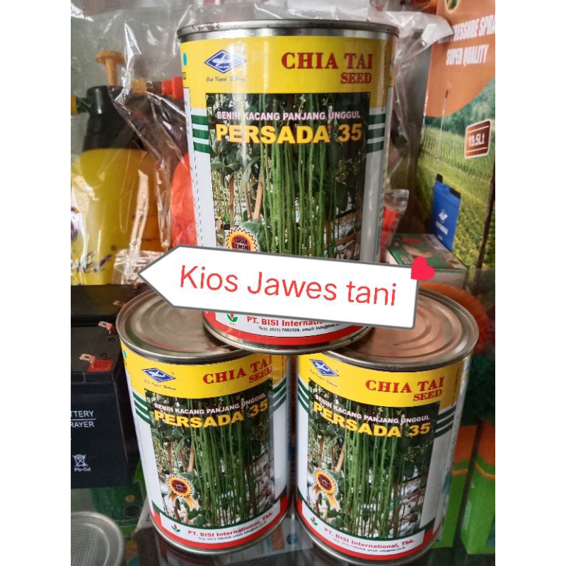 

kacang panjang persada