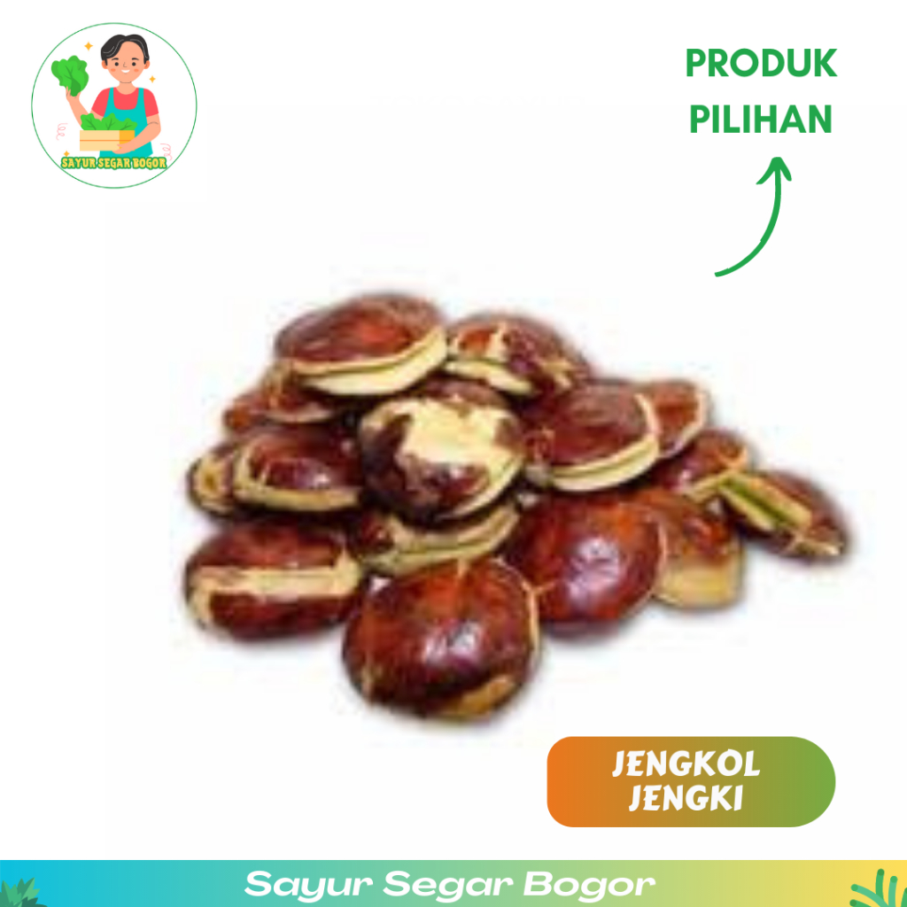 

Jengkol Jengki Jengkol Enak