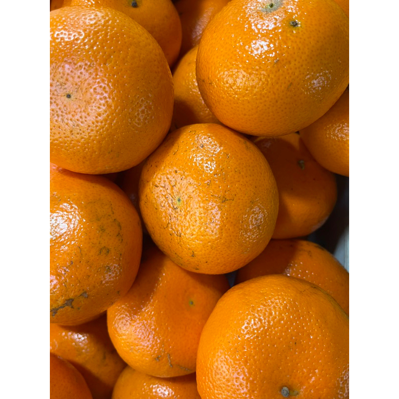 

Jeruk murcot Australia manis segar banyak air 1 kg