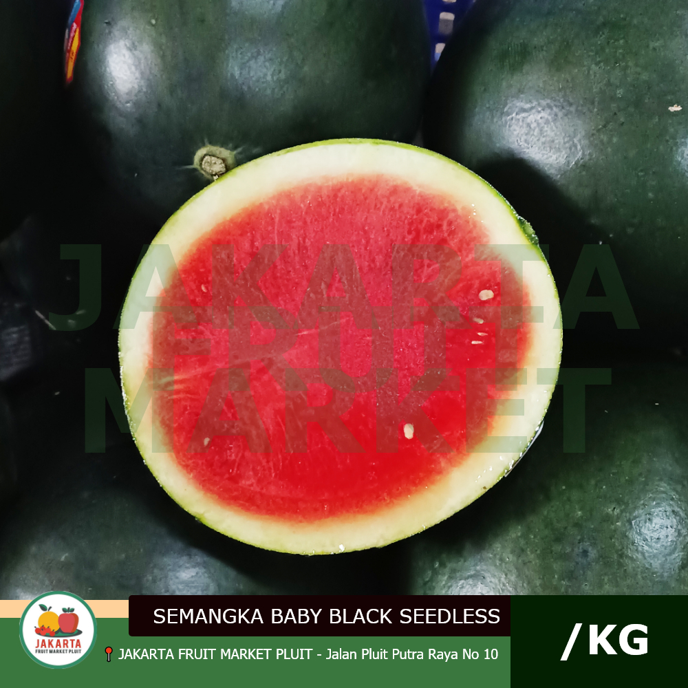 SEMANGKA SEEDLESS tanpa biji baby black watermelon premium /kg