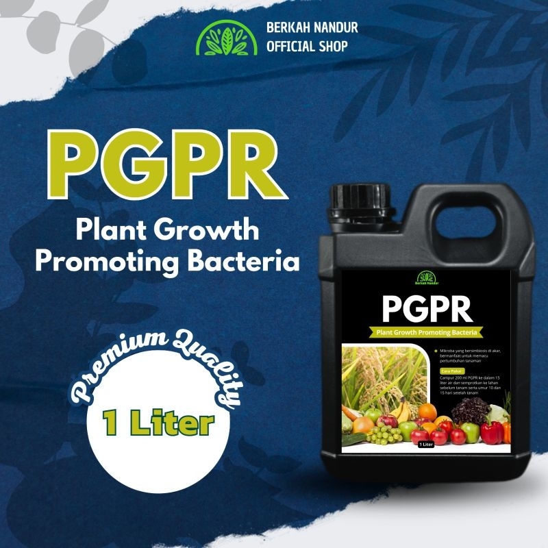 PGPR Cair 1 Liter | Pupuk Hayati Rhizobium | Pupuk Organik Cair | Pembenah Tanah | Plant Growth Prom