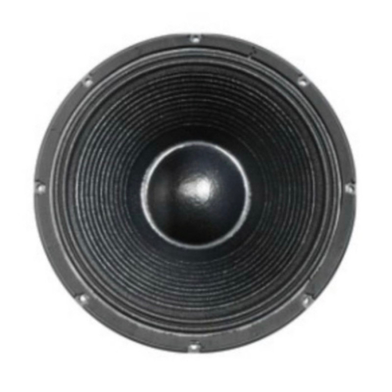 Speaker 18 inch Acr PA 18737 Deluxe Series