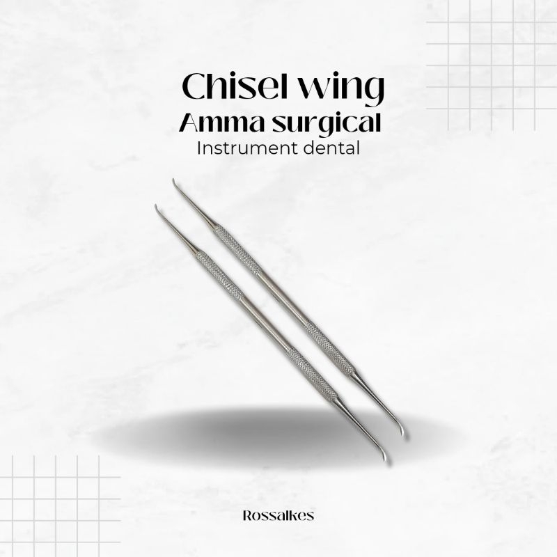 DENTAL SCALLER CHISEL WING DOUBLE END