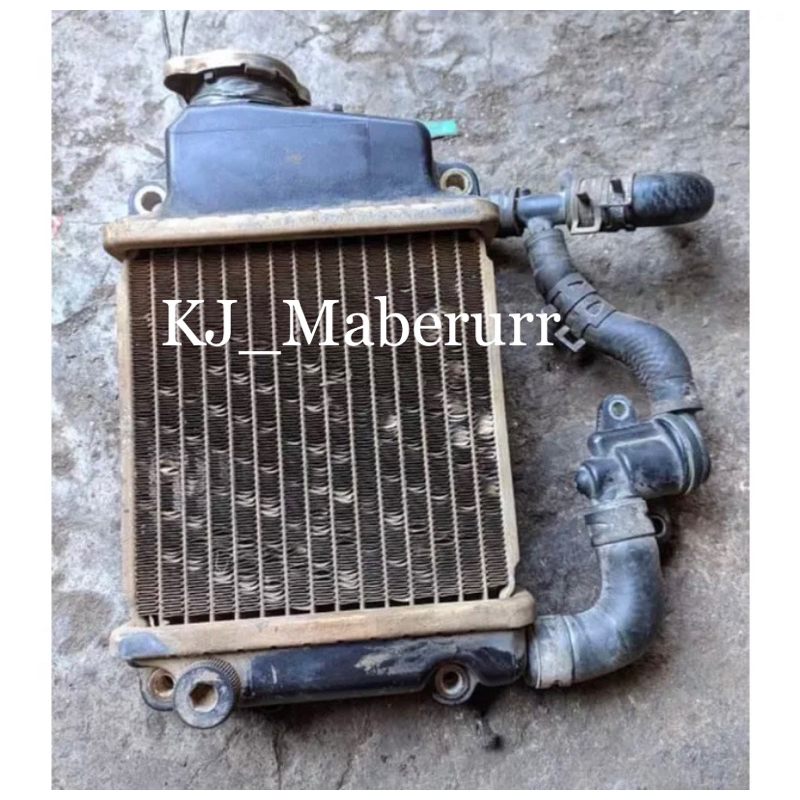 Radiator Set Thermostat Vario 110 Karbu Original Copotan