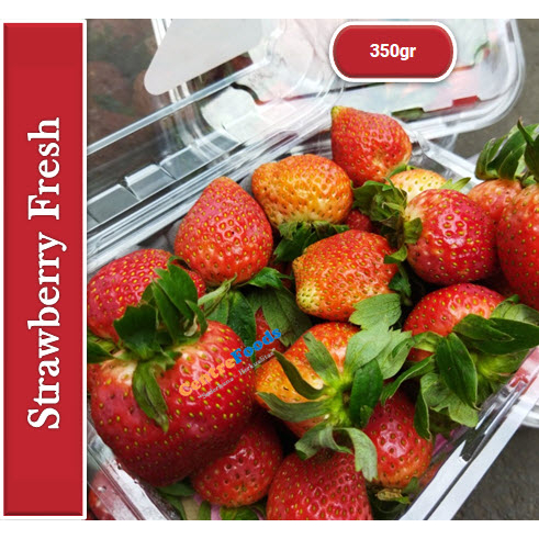 

Stroberi Lokal Fresh - Strawberry Fresh | 350gr [ Harga Per PACK ]