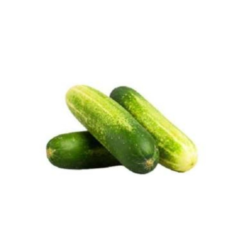 

TIMUN SP SAYURAN SEGAR TOKO YURTIK TERBARU