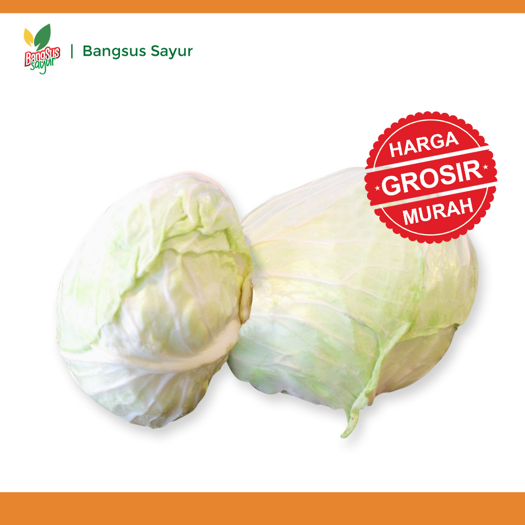 

Kubis 5Kg Grosir Segar Murah
