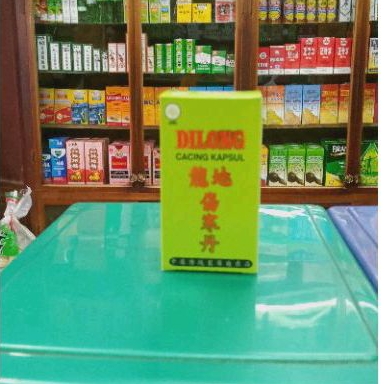 dilong cacing kapsul