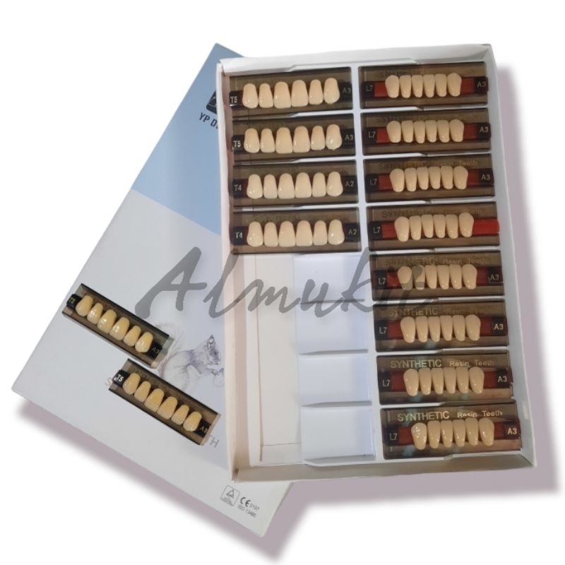 yp dental synthetic resin teeth