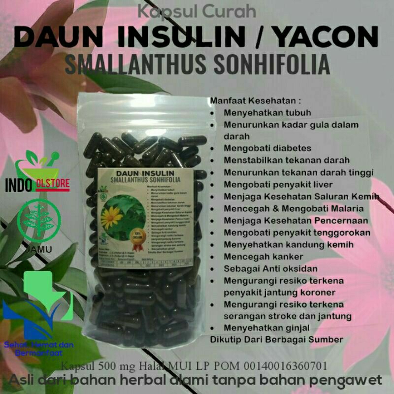 

DAUN INSULIN 100 KAPSUL OBAT HERBAL TERBAIK TOPP SELLER (PREMIUM QUALITY)