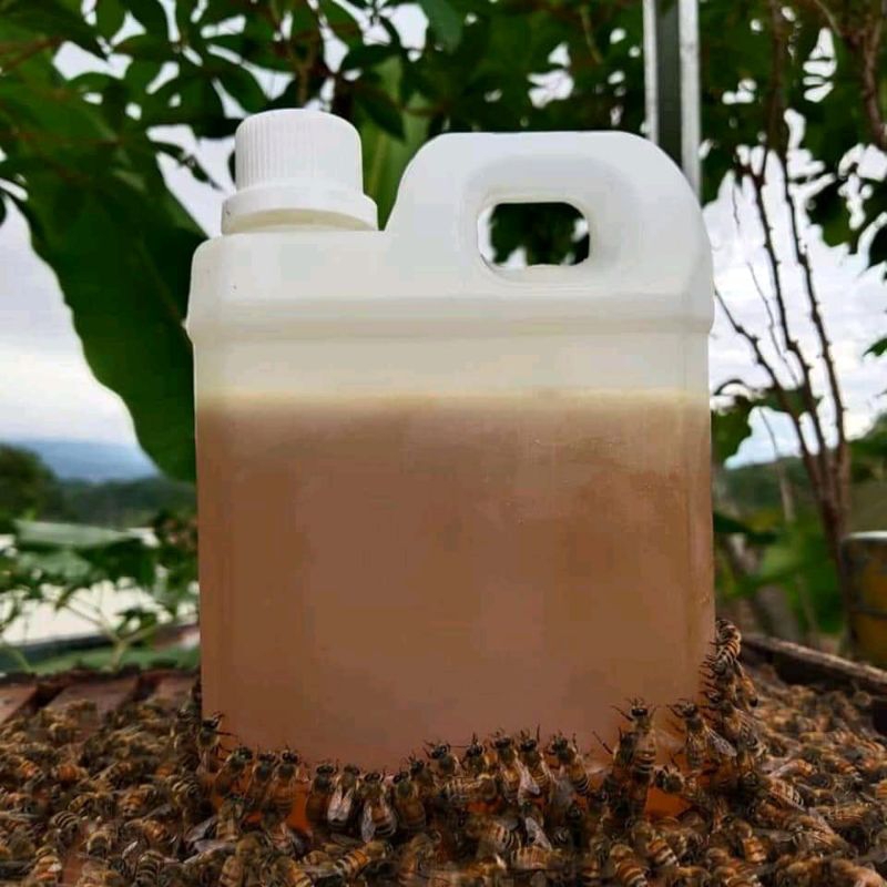 

Madu murni nektar sari bunga randu 1 Kg