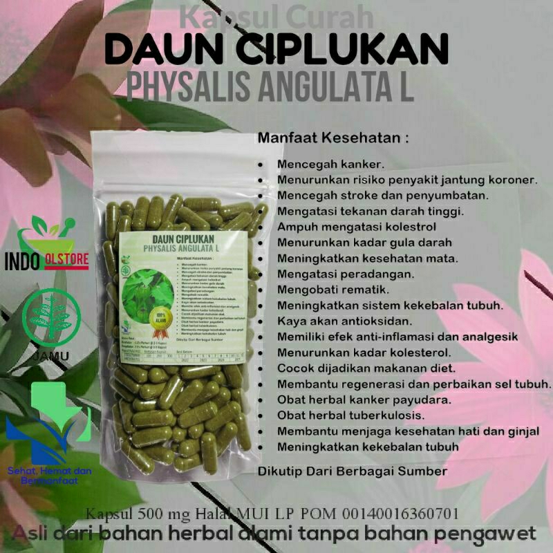 

DAUN CIPLUKAN 100 KAPSUL OBAT HERBAL TERBAIK TOPP SELLER (PREMIUM QUALITY)