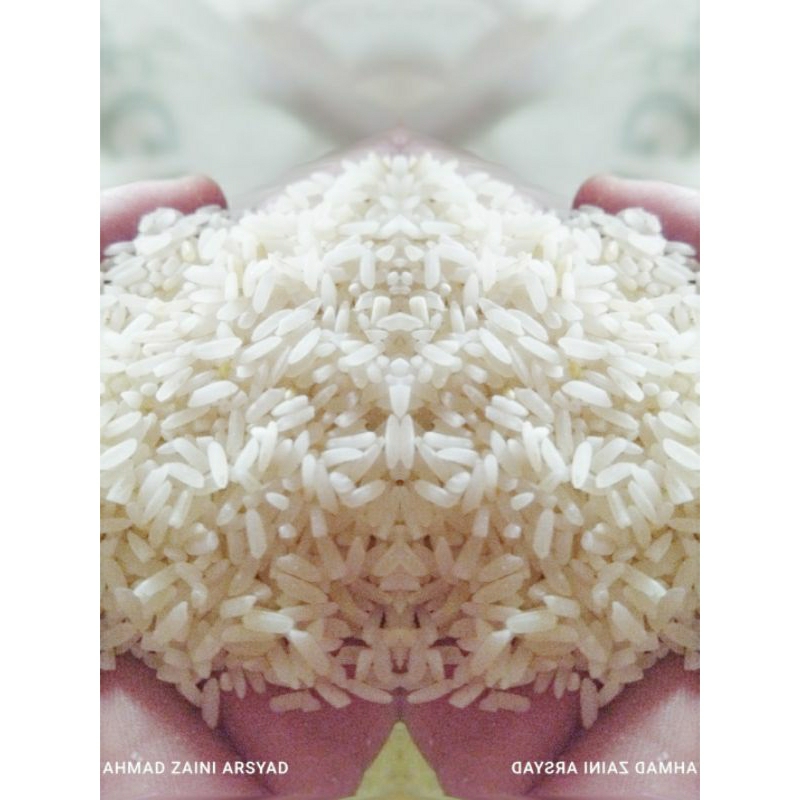 

siam kupang asli