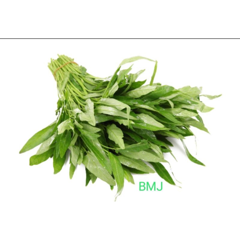 

Sayur Kangkung 1 ikat