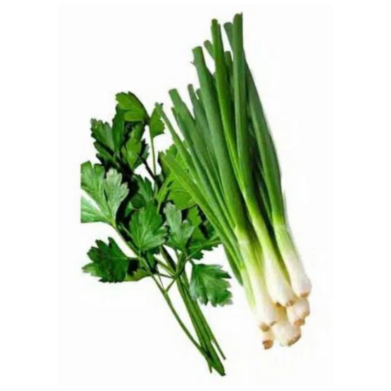 

Daun sop