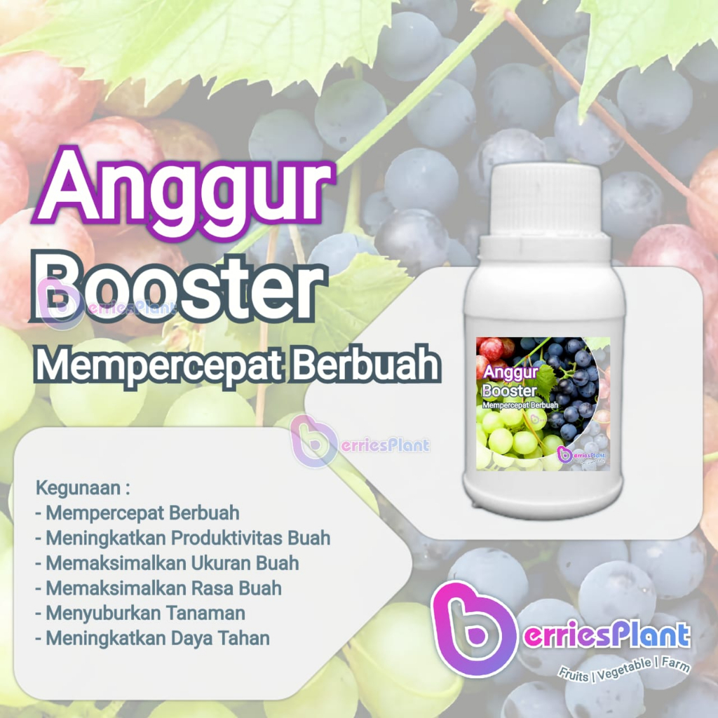 Booster Anggur SUPER | Mempercepat Berbuah | Perangsang Bunga  |  Perangsang Buah | Cepat Berbuah | 