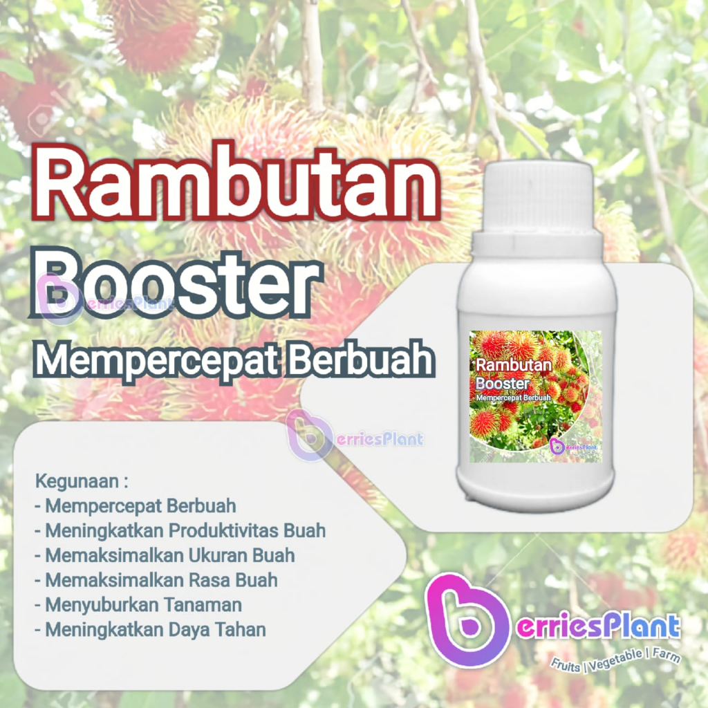 Booster Rambutan SUPER | Mempercepat Berbuah | Perangsang Bunga  |  Perangsang Buah | Cepat Berbuah 
