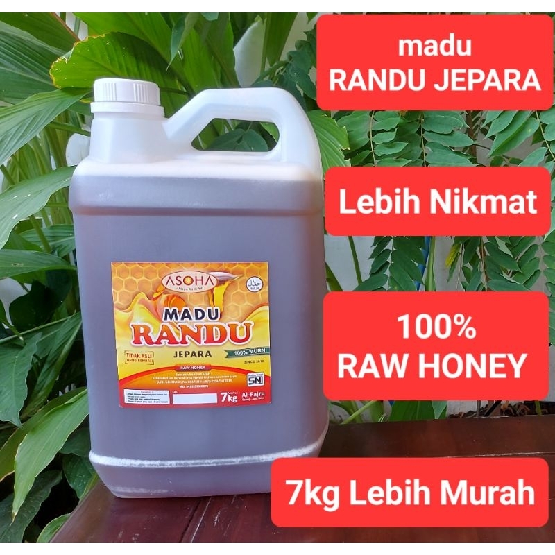 

Madu Randu Asli Jepara 7kg Grosir Madu Murni Raw Honey ORGANIC