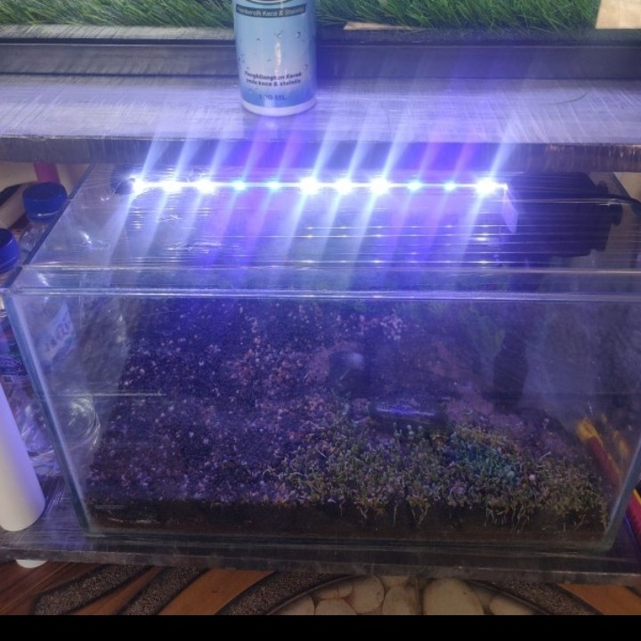 Cairan Pembersih Kerak Air Stanklin Jamur Kaca Aquarium Stainless