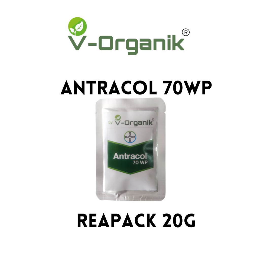 ANTRACOL 70WP PLUS ZINC PUPUK FUNGISIDA ANTI JAMUR KEMASAN REPACK 20gram