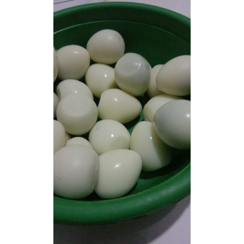 

Telur Puyuh Matang Fres Siap Saji Isi 10 Biji