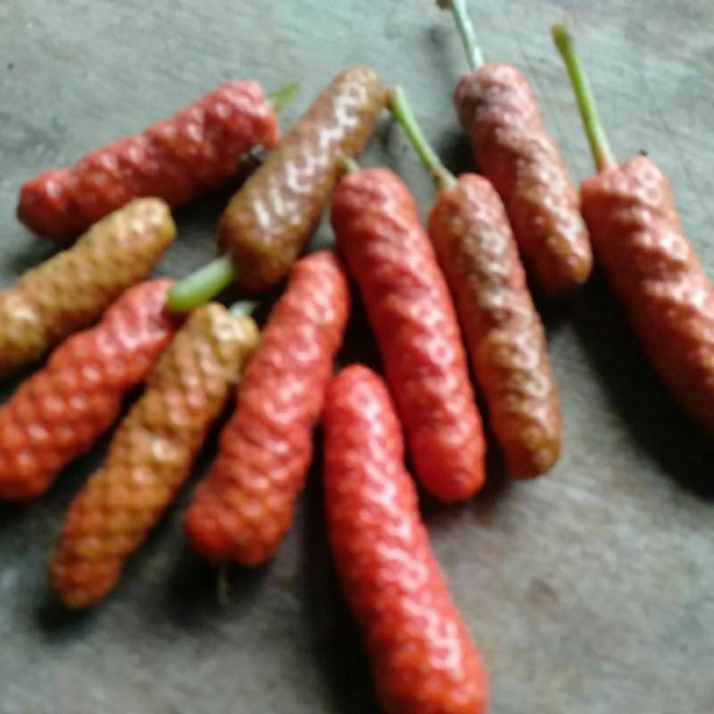 

Buah Cabe Jamu Cabe Jawa petik segar 50 gram