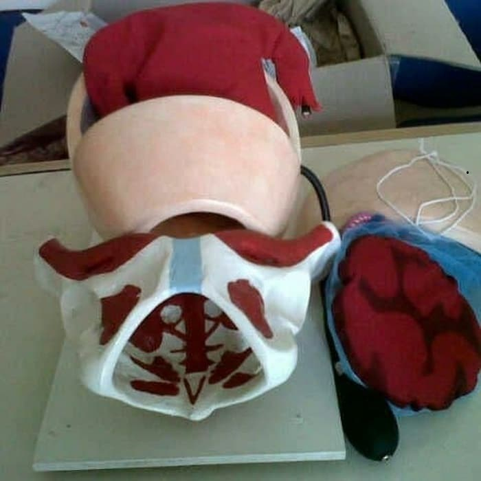 manikin KBI kbe ( Original )