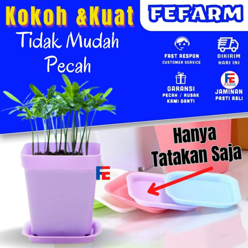 Pot Bunga Mini Pot Kotak Hanya Tatakan Saja Premium Quality FEFARM