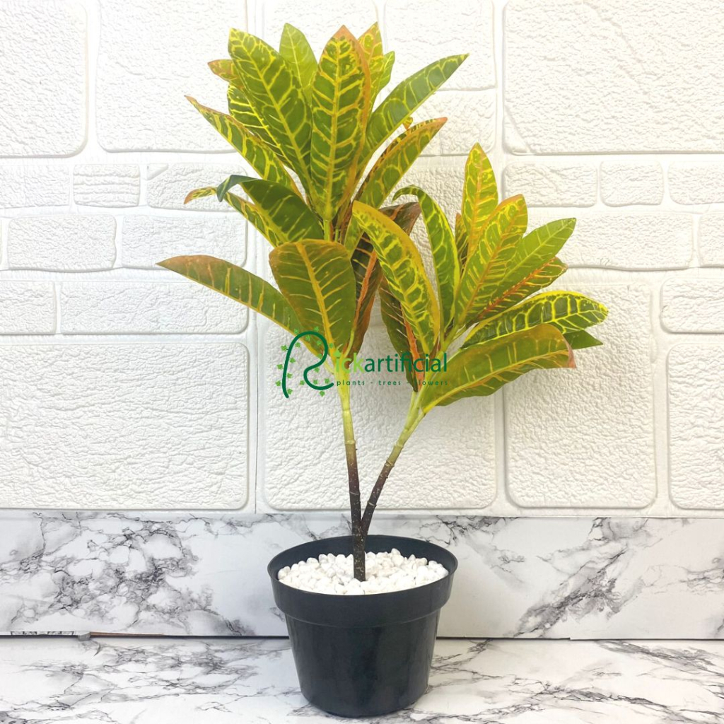 Pohon Daun Puring Worten X2 T50 Semi Latex Artificial Pot Dasar Hiasan Pajangan Ruangan Aesthetic