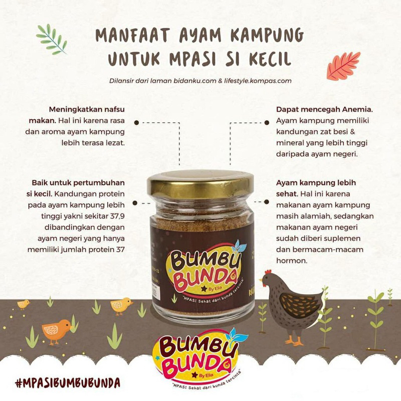 Bumbu Bunda Kaldu Ayam Kampung Bubuk Tanpa MSG / Kaldu MPASI Bayi Anak