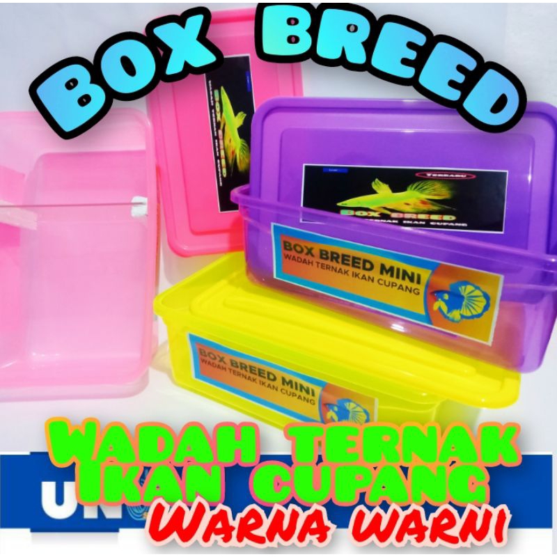 BOX BREED./WADAH TERNAK IKAN CUPANG WARNA WARNI