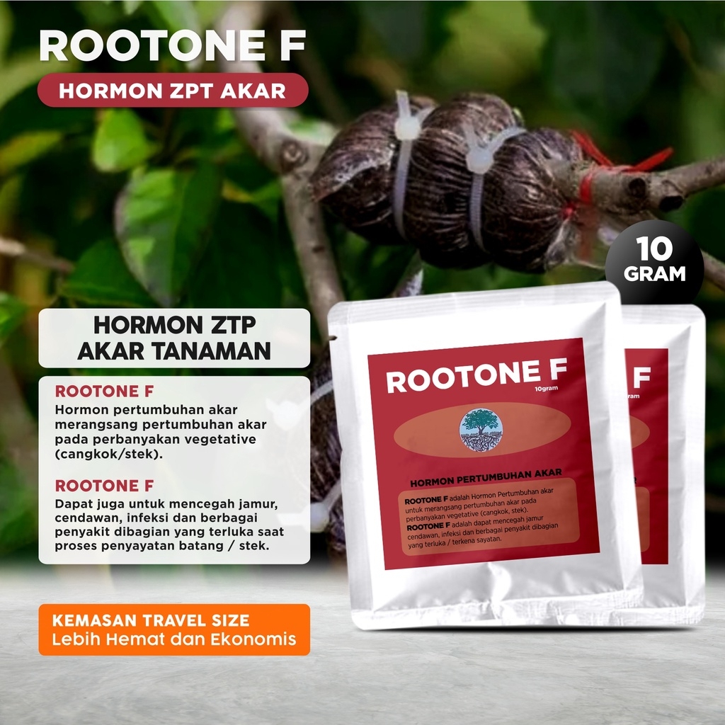 Hormon Pertumbuhan Akar Tanaman Cangkok Stek ZPT ROOTONE F 10 Gram