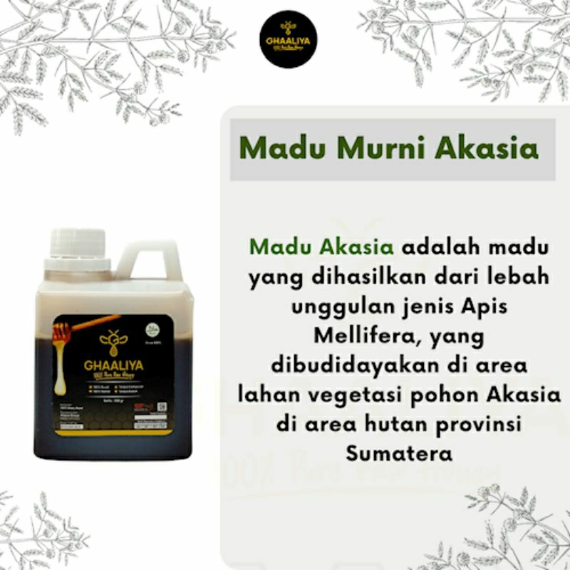

Madu Murni Asli Nektar Akasia 500gr