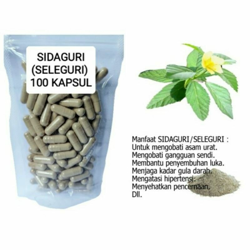 

SIDAGURI Kapsul Herbal Alami Kemasan Hemat - isi 100 pcs