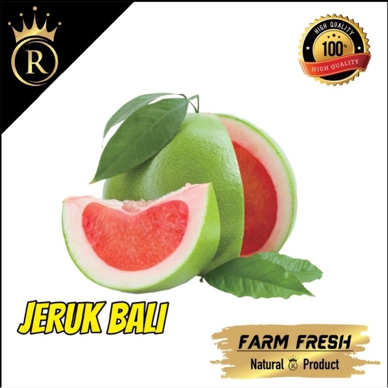 

BUAH JERUK BALI