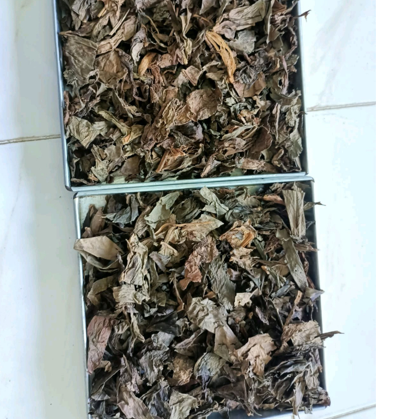 

HERBAL TERBAIK DAUN EKOR NAGA KERING-1 KG