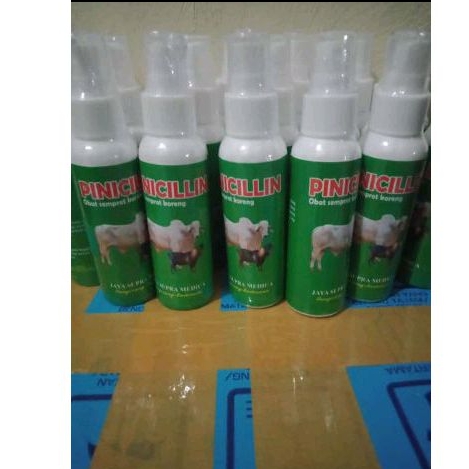 pinisilin spray 1-1lusin