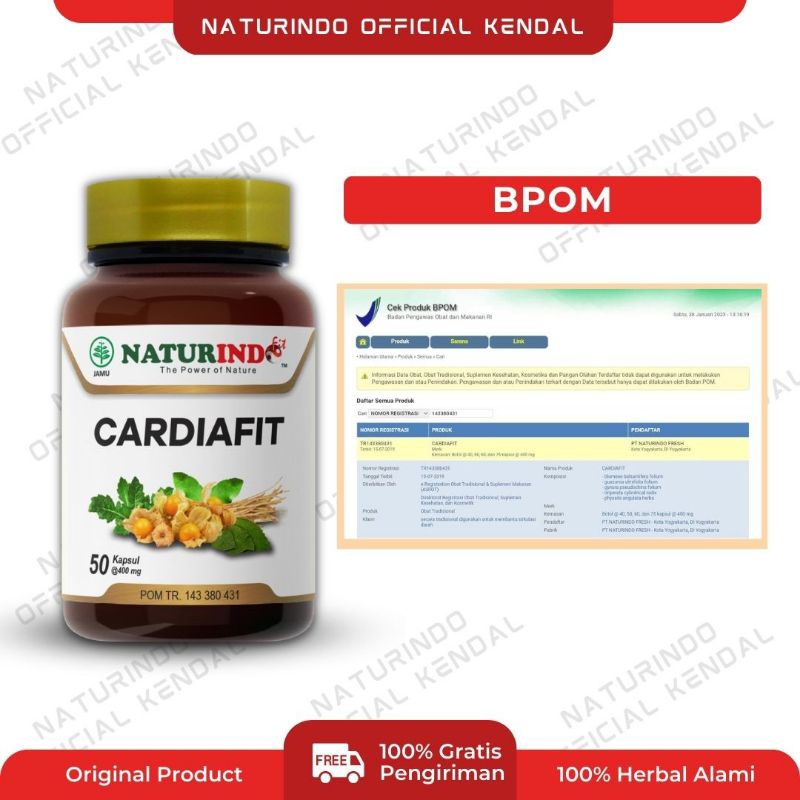 Obat herbal spesial jantung paling ampuh, herbal atasi lemah jantung, obat atasi jantung berdebar, herbal jantung lemah