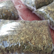 

MURAH JAMU DAUN GEDI KERING/AIBIKA KERING HERBAL 250 GRAM