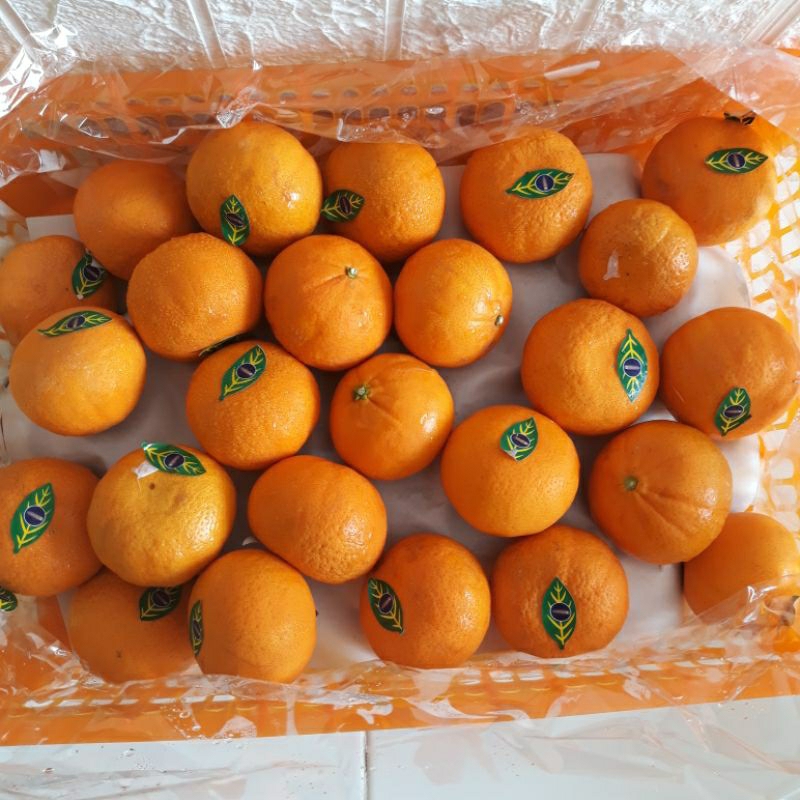 

Buah Jeruk Wogan Manis Segar 1 kg