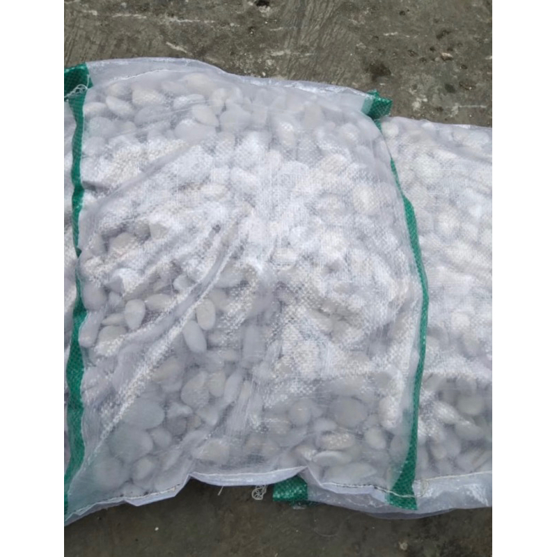 batu hias taman putih kupang - besar