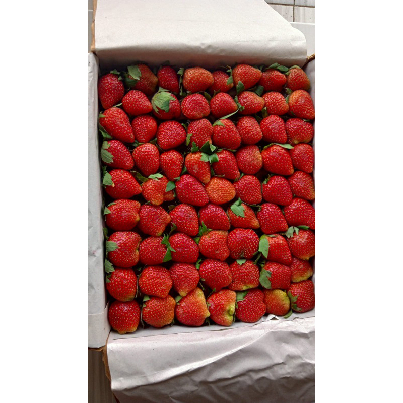 

STRAWBERRY CIWIDEY BANDUNG