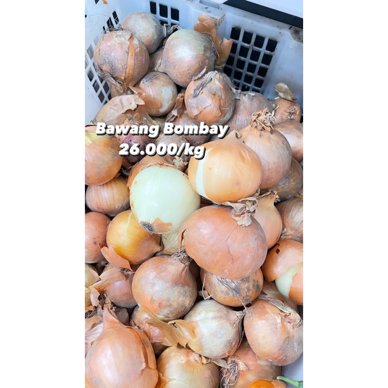

BAWANG BOMBAY