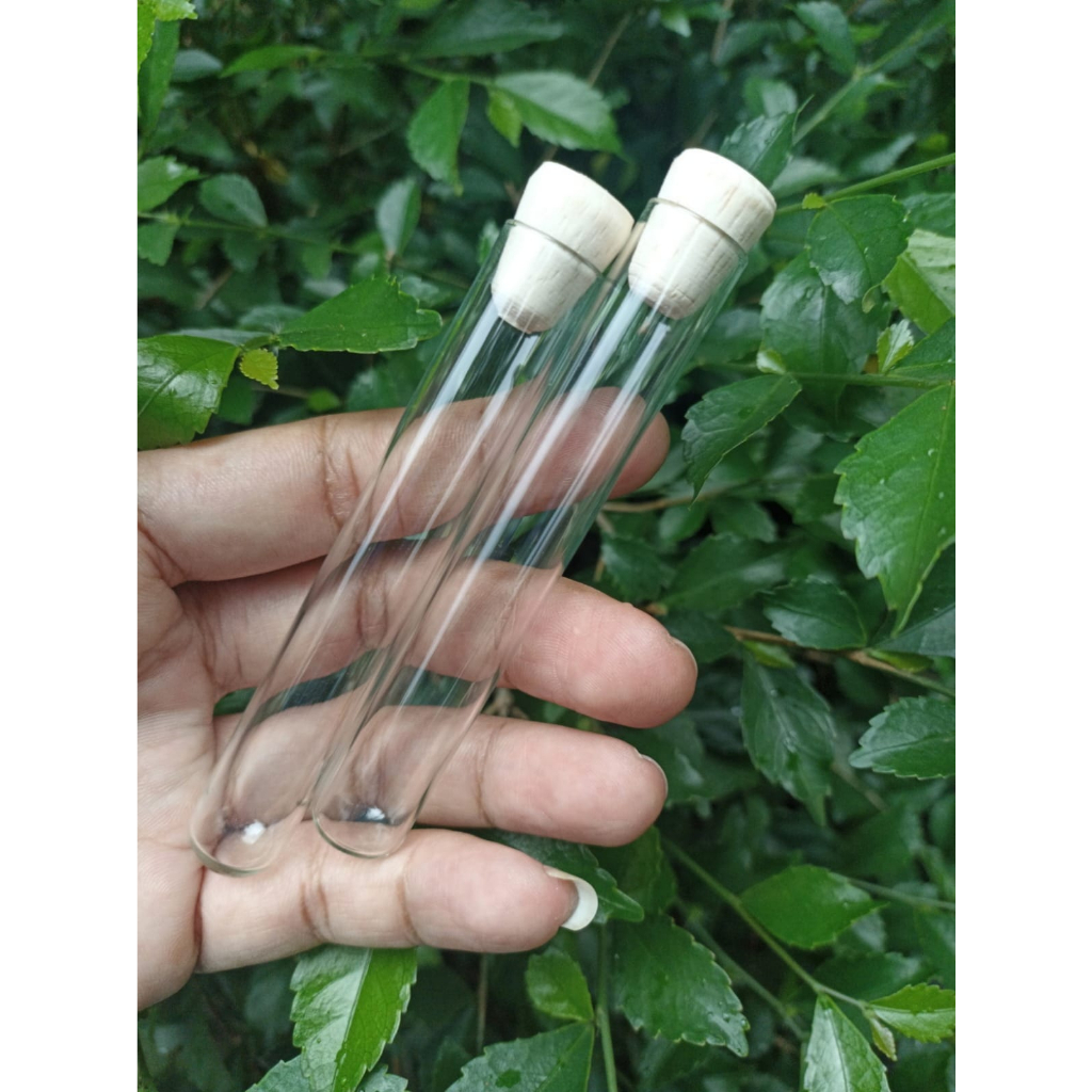 Test Tube 10 ML Tutup Kayu / Souvenir / Craft / Tabung Reaksi 10ml