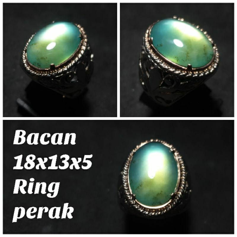 Bacan coklat giwang hq