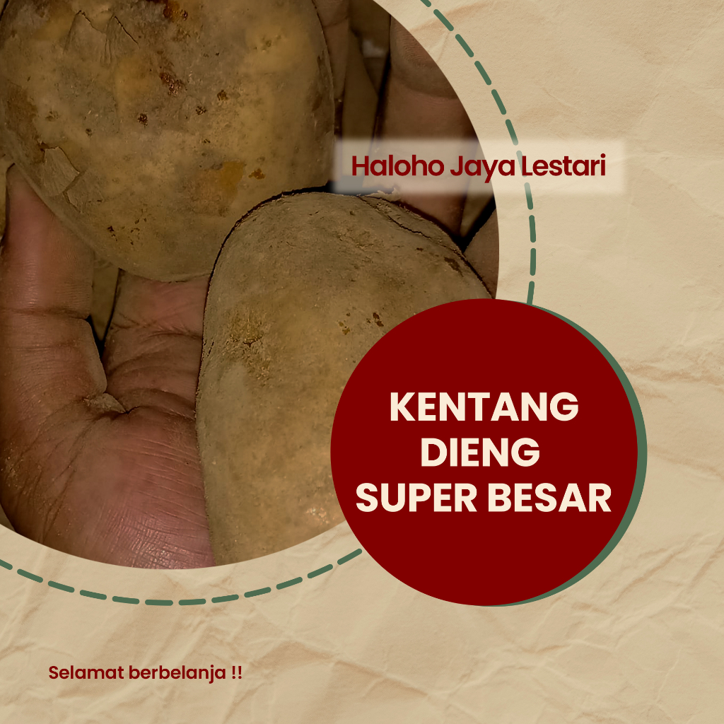 

Kentang Dieng Super Besar 1 kg