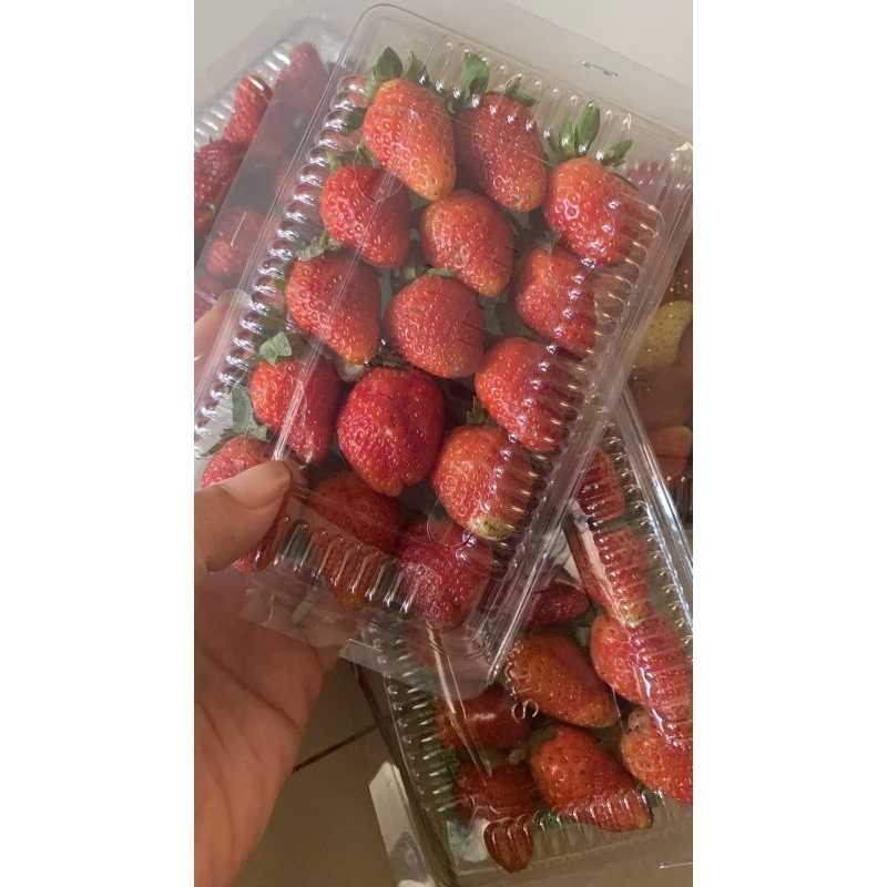 

STRAWBERRY PAKET GROSIR