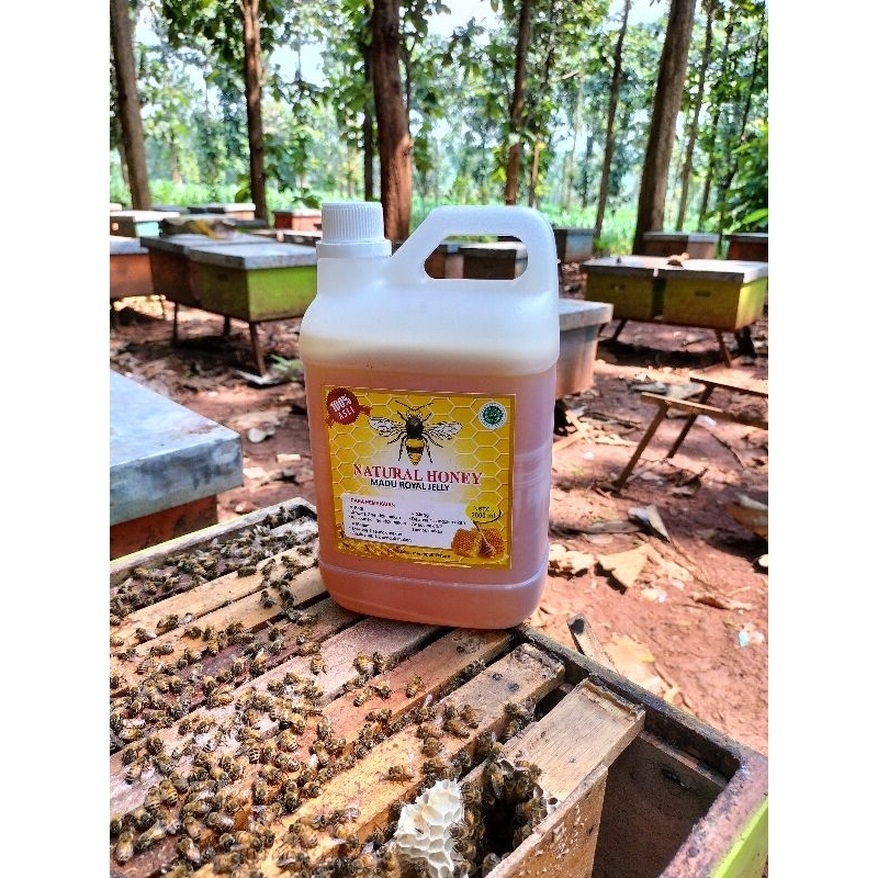 Madu Natural honey/ madu Mentah /Madu raw Honey /